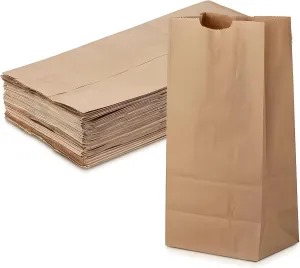 20lb Kraft Paper Bags - Extra Large (10 x 5.5 x 16.5 inch) Paper Bags - Brown Paper Lunch Sandwich Bags for Bake Sales, Grocery, Retail, Candy, Farmers Market and Takeout (100)