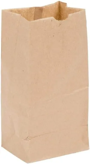 #3 Brown Paper Bag - 3 Pound - (500-10,000 Count)
