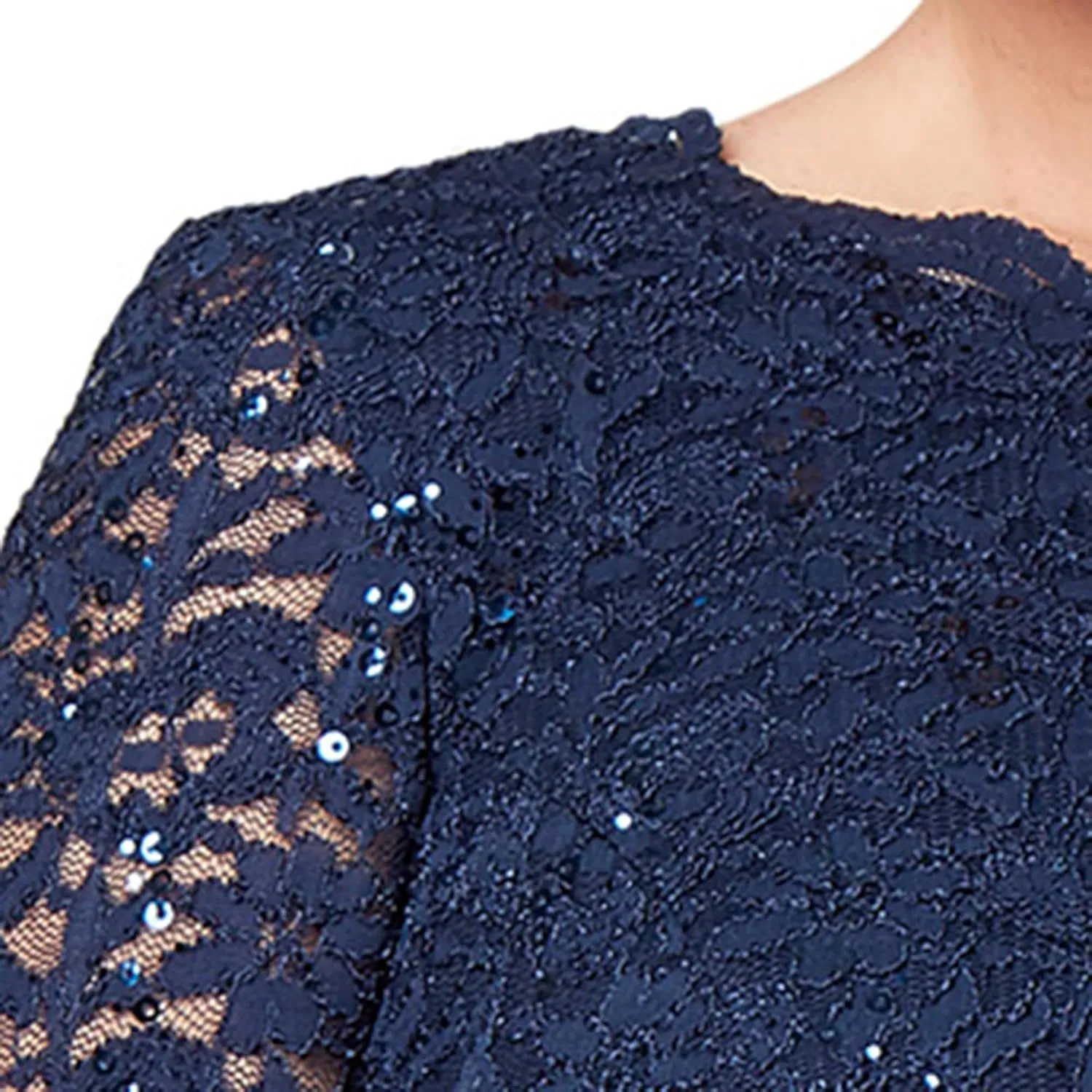 Alex Evenings Women's Plus Size Stretch Lace Bodice Mock One Piece Gown