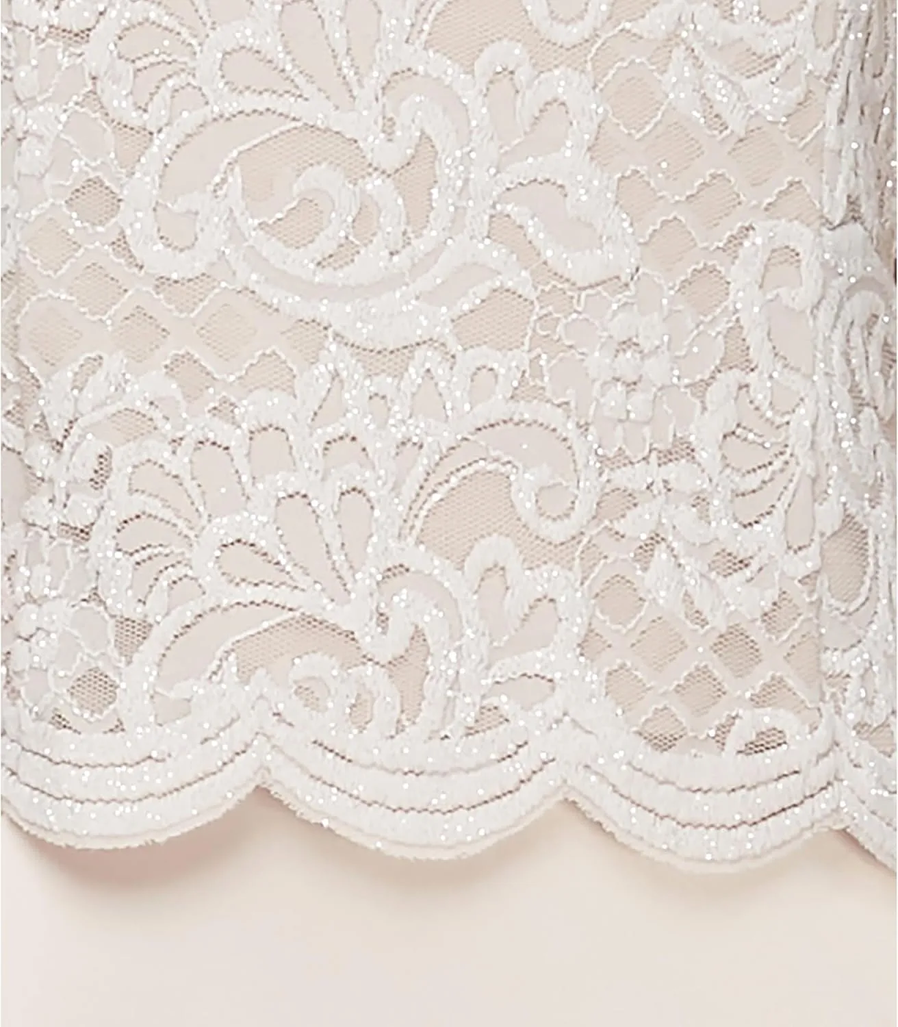 Alex Evenings Women's Two Piece Mother of The Bride Dress with Lace Jacket (Petite and Regular Sizes)