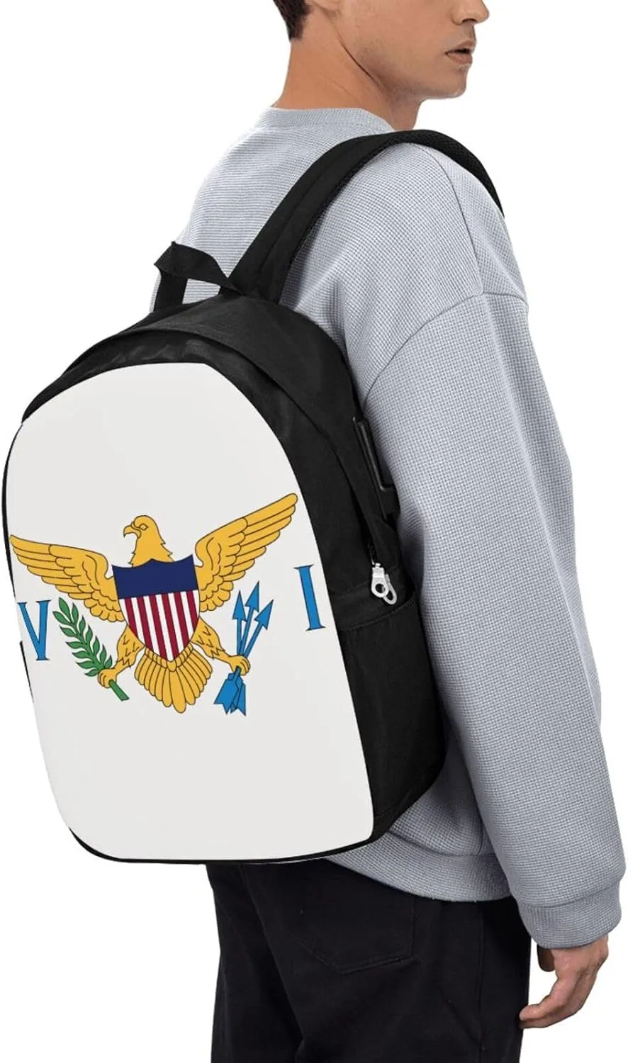 American Virgin Islands Flags Eagle Laptop Backpacks Travel Backpack Casual Business Daypack Sport Rucksack Computer Bag Fits up to 17 Inch Notebook with USB Port