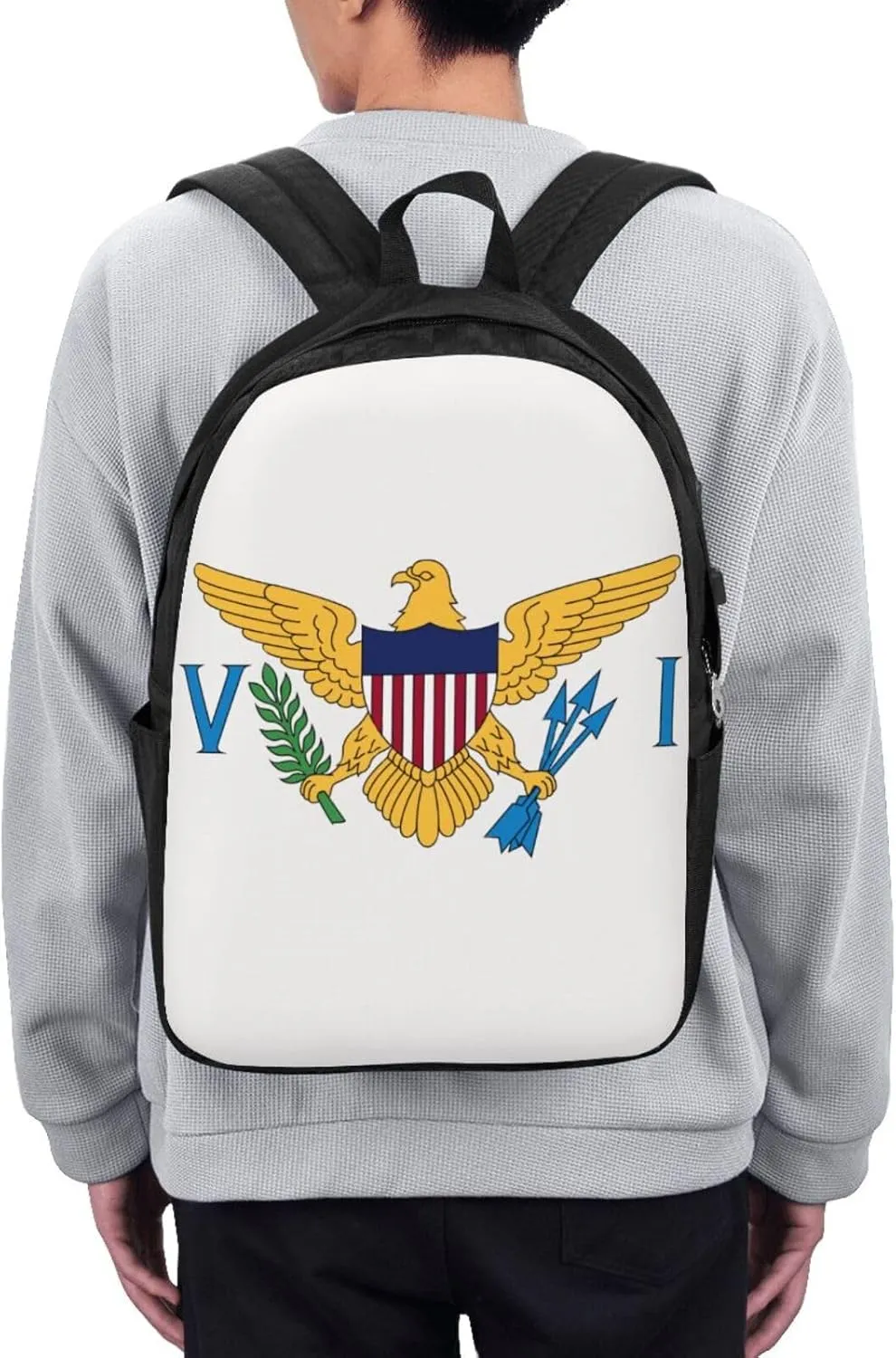 American Virgin Islands Flags Eagle Laptop Backpacks Travel Backpack Casual Business Daypack Sport Rucksack Computer Bag Fits up to 17 Inch Notebook with USB Port