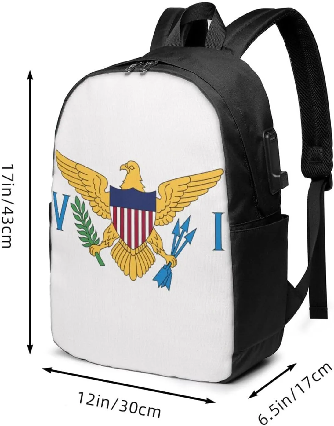 American Virgin Islands Flags Eagle Laptop Backpacks Travel Backpack Casual Business Daypack Sport Rucksack Computer Bag Fits up to 17 Inch Notebook with USB Port