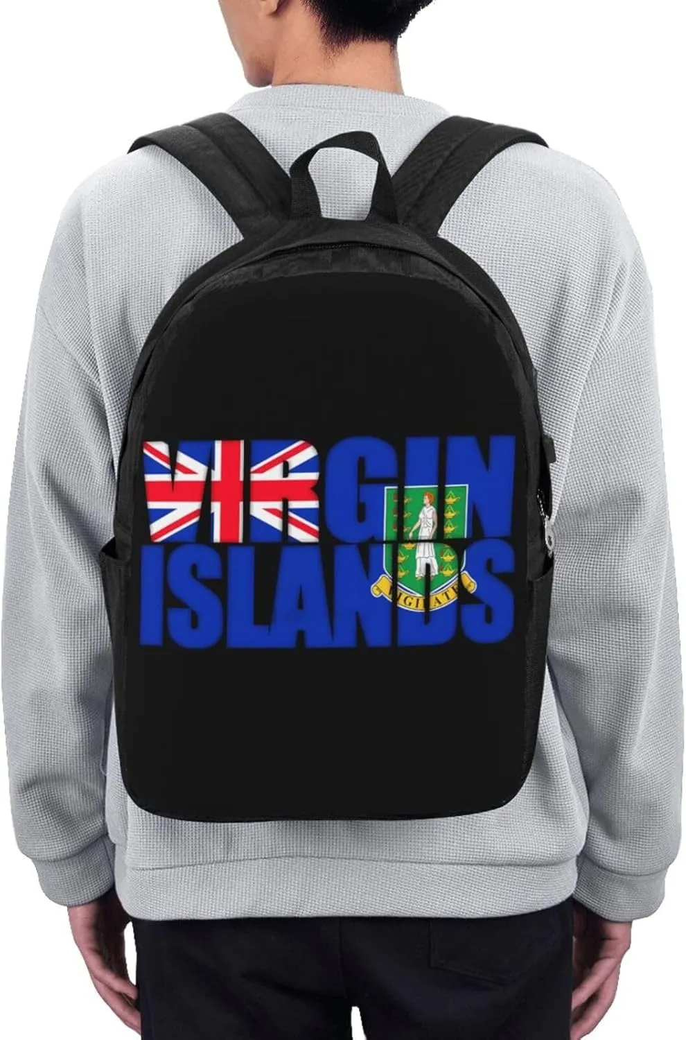 British Virgin Islands Flag Laptop Backpacks Travel Backpack Casual Business Daypack Sport Rucksack Computer Bag Fits up to 17 Inch Notebook with USB Port