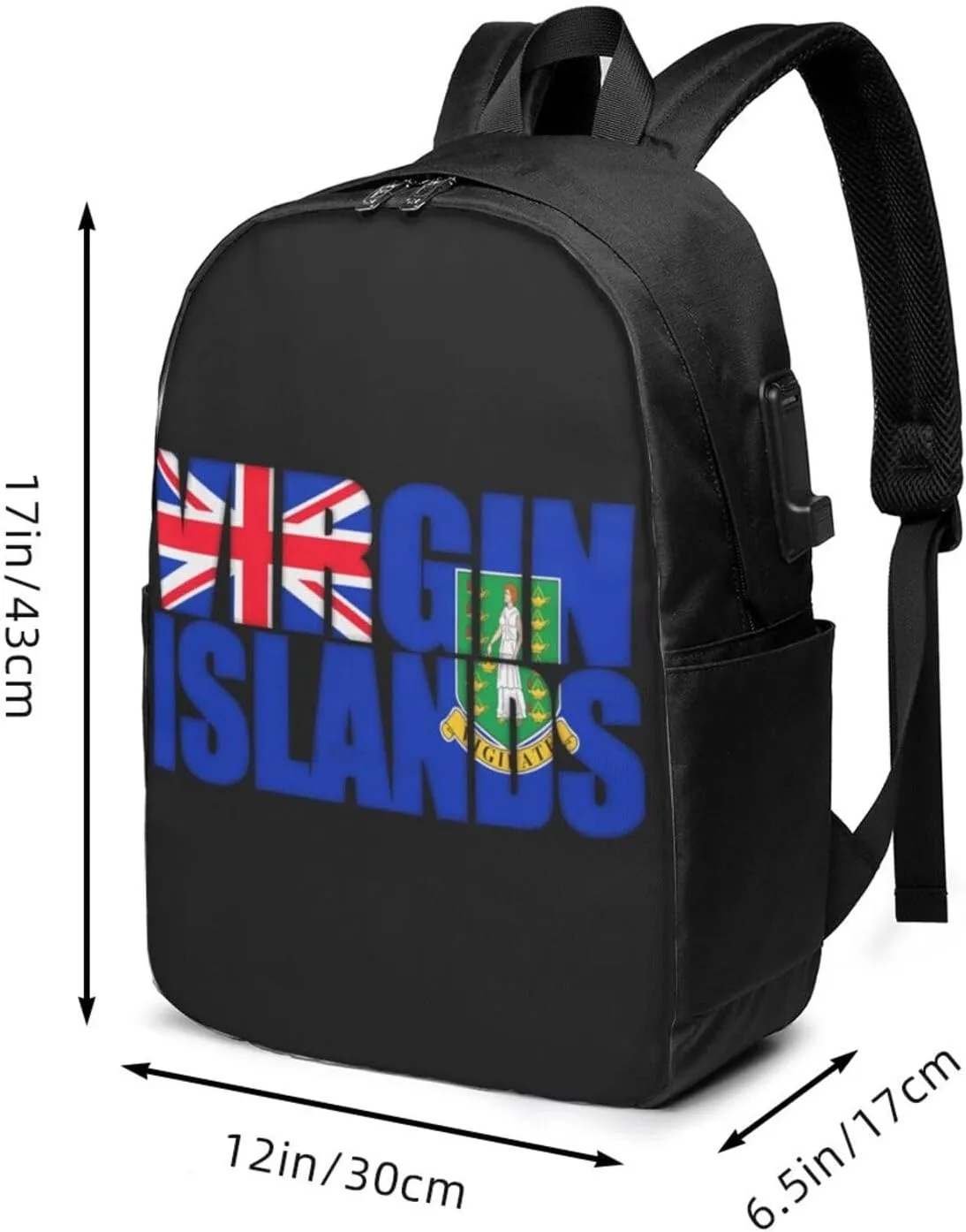 British Virgin Islands Flag Laptop Backpacks Travel Backpack Casual Business Daypack Sport Rucksack Computer Bag Fits up to 17 Inch Notebook with USB Port