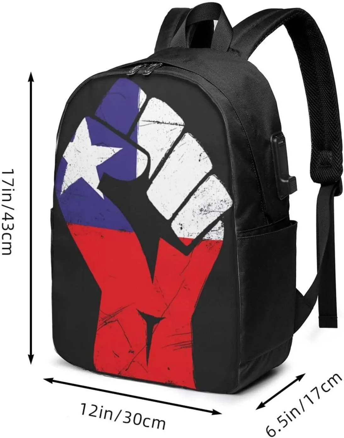 Chile Flag Chilean Strong Laptop Backpacks Travel Backpack Casual Business Daypack Sport Rucksack Computer Bag Fits up to 17 Inch Notebook with USB Port