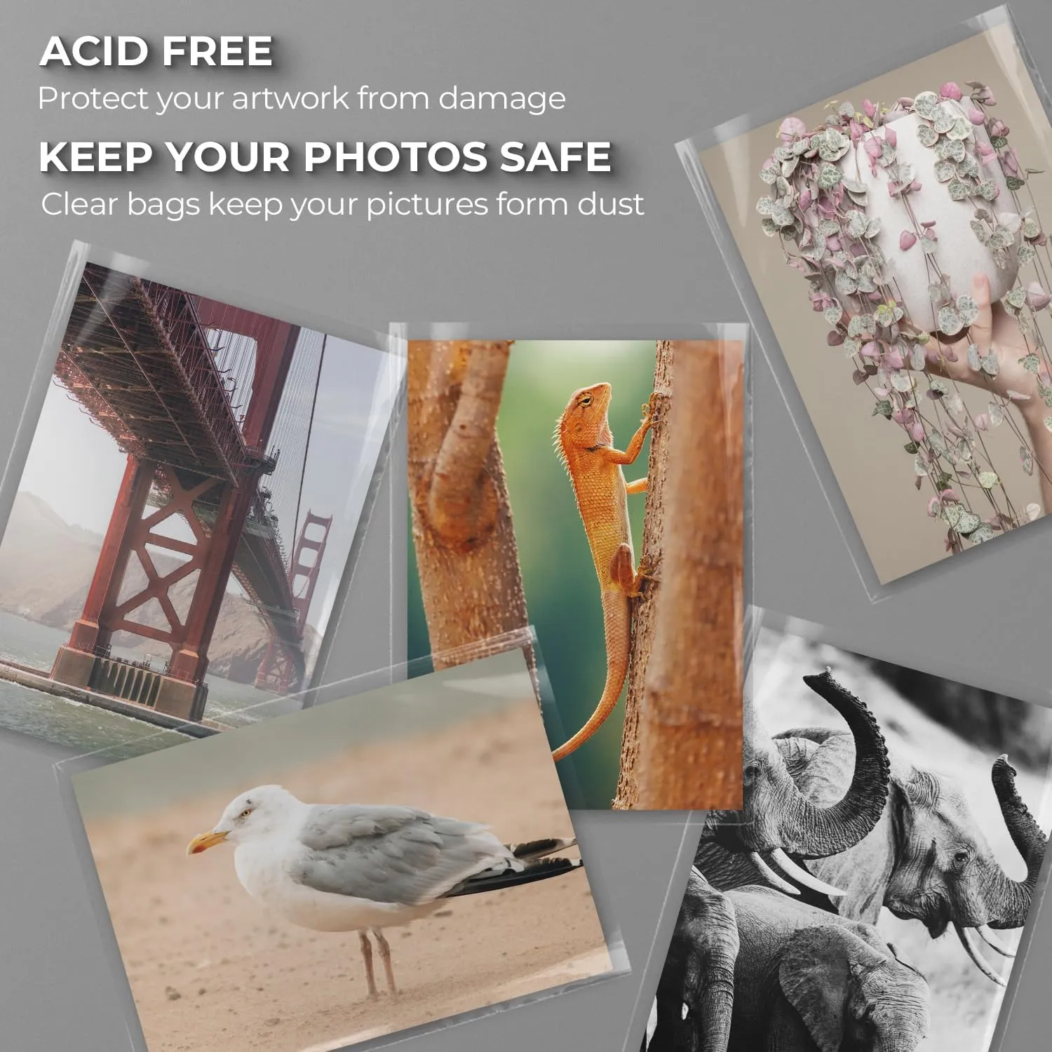Frametory, 25 Pack 11 3/7" x 17 1/2" Acid-Free Clear Plastic Bags, Self Seal Crystal Photo Sleeves for 11X17 Art Prints, Pictures & Framing Mat Mattes
