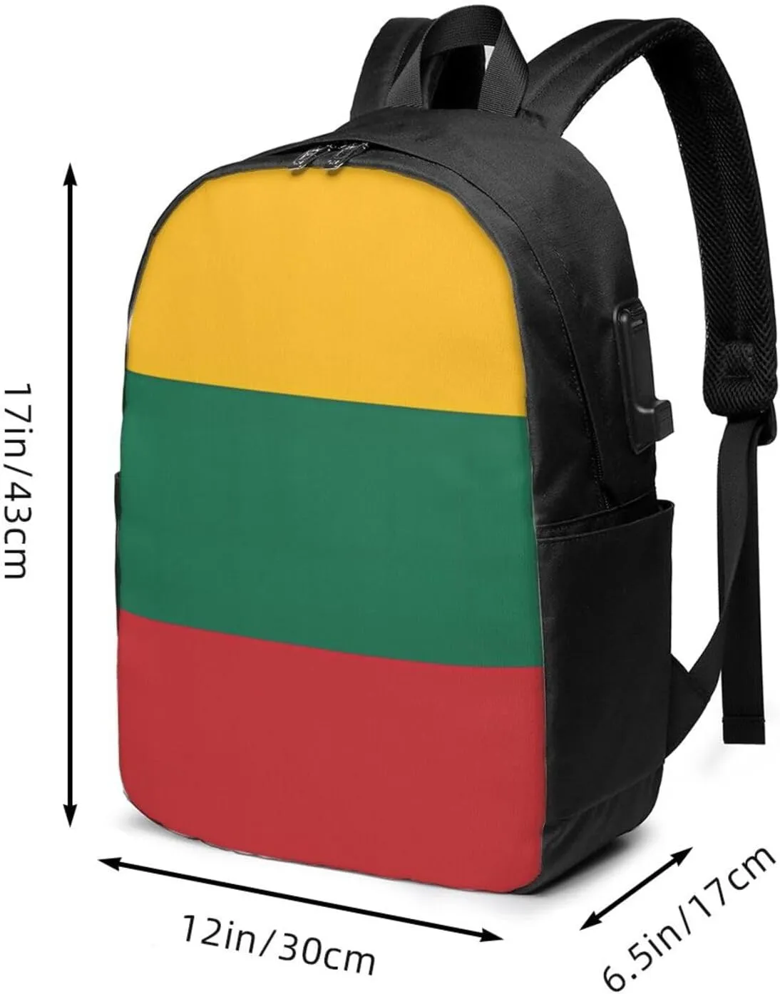 Lithuania Flag Travel Backpack 17-Inch Laptop Backpacks Business Rucksack Casual Sport Daypack with USB Charging Port Carry-on Bag for Camping Biking