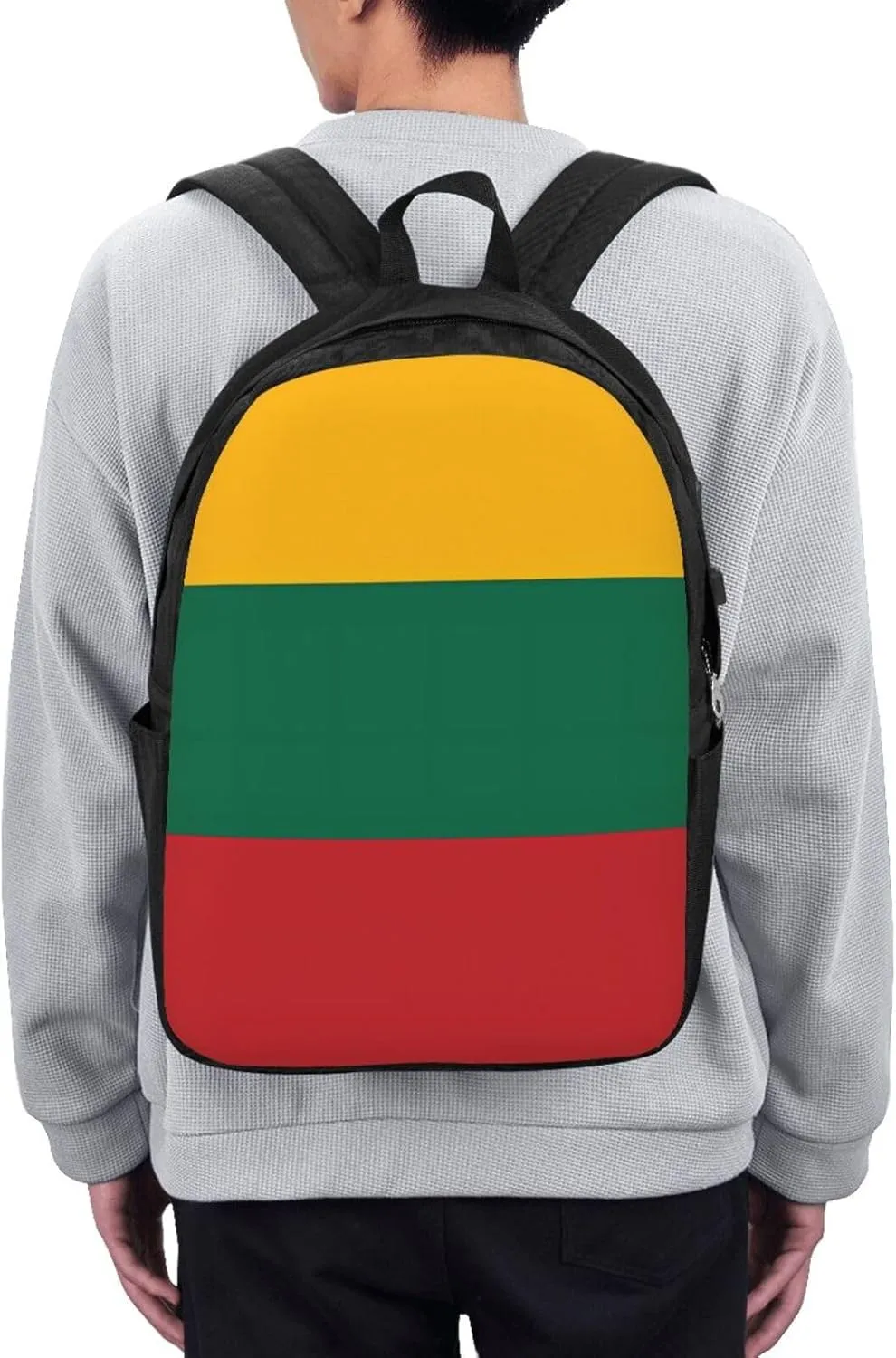 Lithuania Flag Travel Backpack 17-Inch Laptop Backpacks Business Rucksack Casual Sport Daypack with USB Charging Port Carry-on Bag for Camping Biking