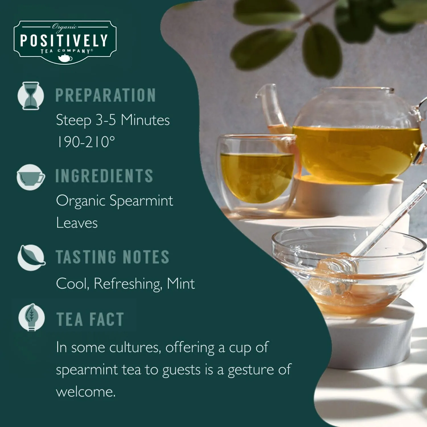 Organic Positively Tea Company, Spearmint Leaf Herbal Tea Bags, 100 Count, Eco-Friendly Tea Bags, Non-GMO