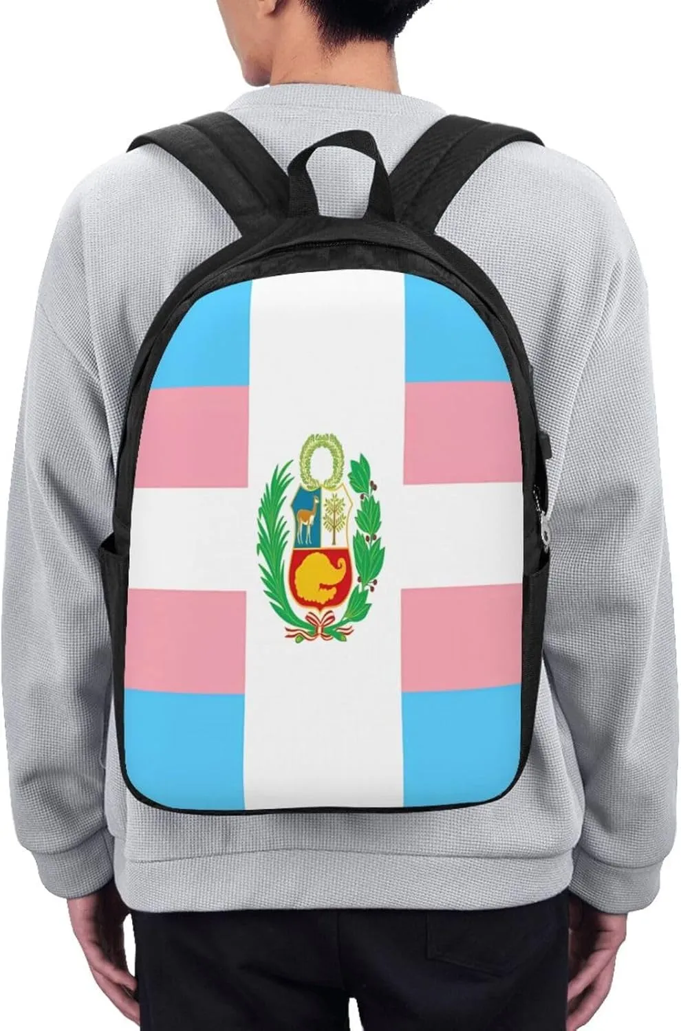 Peru Peruvian LGBT Rainbow Pride Flag Laptop Backpacks Travel Backpack Casual Business Daypack Sport Rucksack Computer Bag Fits up to 17 Inch Notebook with USB Port