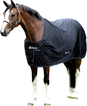 Power Cooler 75 Navy