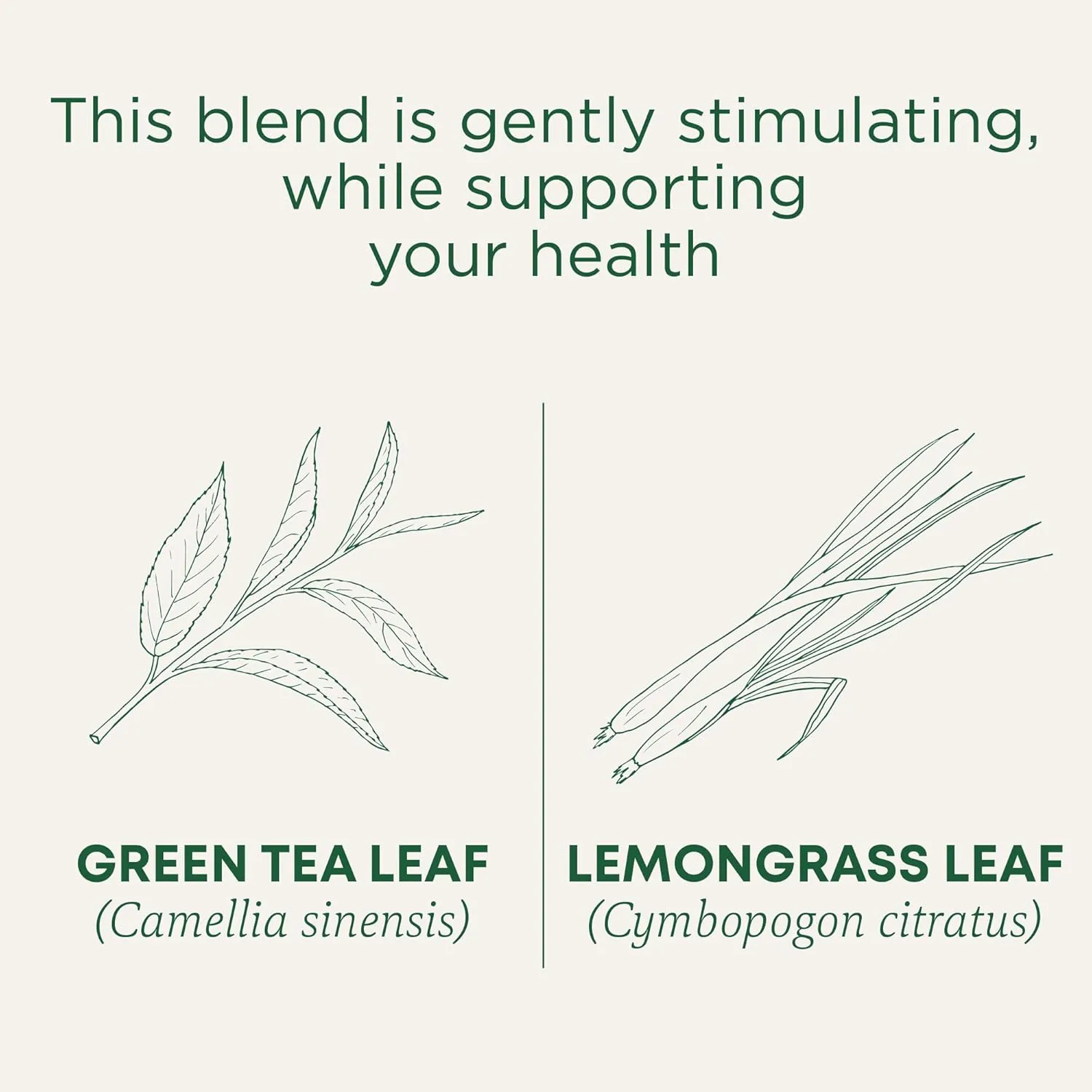 Traditional Medicinals Tea, Organic Green Tea Lemongrass, 96 Tea Bags (6 Pack)